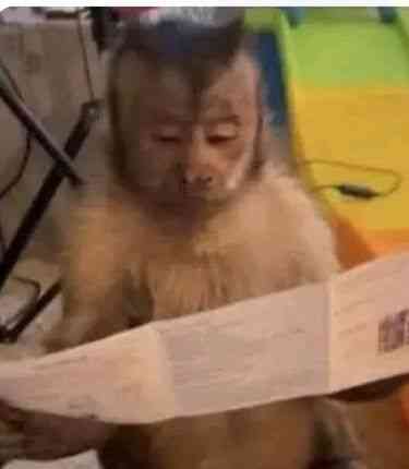 Nobody:
Hausa people looking for wrong numbers to call | MirrorLog